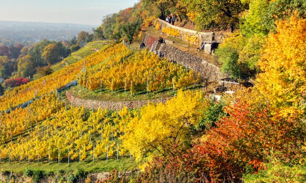 Die Region Meißen und Umgebung